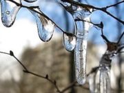 Потепление до плюсовых температур ожидается на Алтае Потепление до плюсовых температур ожидается на Алтае