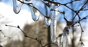 Потепление до плюсовых температур ожидается на Алтае