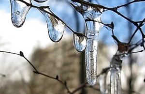 Потепление до плюсовых температур ожидается на Алтае Потепление до плюсовых температур ожидается на Алтае