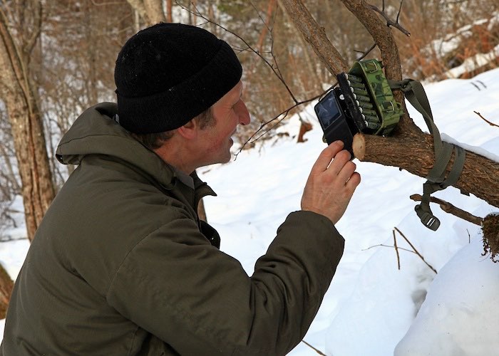Марал с необычными рогами, выдра и другие кадры с фотоловушек