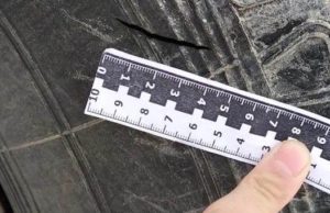 Уволенный скотник из чувства мести проколол колеса прицепа Уволенный скотник из чувства мести проколол колеса прицепа