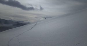 Уникальный фотоснимок: житель Кош-Агачского района встретил снежного барса