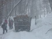 Дальнейшее развитие лесной отрасли Чойского района обсудили на совещании в правительстве На совещании в правительстве обсудили развитие лесной отрасли Чойского района