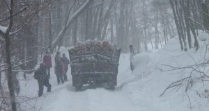 Дальнейшее развитие лесной отрасли Чойского района обсудили на совещании в правительстве На совещании в правительстве обсудили развитие лесной отрасли Чойского района