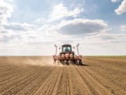 Россельхозбанк на Алтае нарастил кредитование сезонных работ Россельхозбанк на Алтае нарастил кредитование сезонных работ