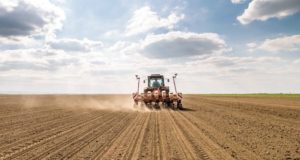 Россельхозбанк на Алтае нарастил кредитование сезонных работ