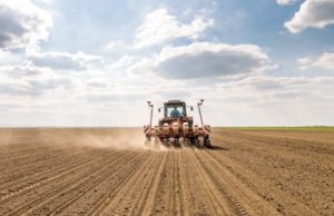 Россельхозбанк на Алтае нарастил кредитование сезонных работ