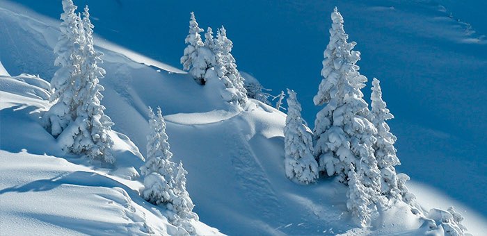 Снегомерный маршрут на Семинский перевал подтвердил высокие запасы снега в горах
