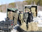 В окрестностях Паспаула прошла акция «Спасем косулю»