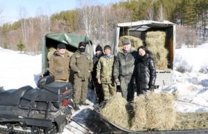 В окрестностях Паспаула прошла акция «Спасем косулю» В окрестностях Паспаула прошла акция «Спасем косулю»