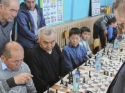 Турнир по шахматам памяти Александра Тобоева пройдет в Шебалино Турнир по шахматам памяти Александра Тобоева пройдет в Шебалино