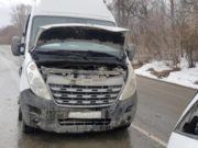 Три машины столкнулись на Чуйском тракте из-за переходивших дорогу коров