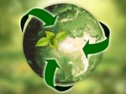 Молодежь приглашают принять участие в Экочемпионате Молодежь приглашают принять участие в Экочемипионате