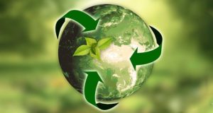 Молодежь приглашают принять участие в Экочемипионате