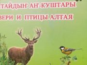 Вышла в свет книга о птицах и зверях Алтая Вышла в свет книга о птицах и зверях Алтая