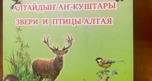 Вышла в свет книга о птицах и зверях Алтая