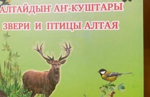 Вышла в свет книга о птицах и зверях Алтая Вышла в свет книга о птицах и зверях Алтая