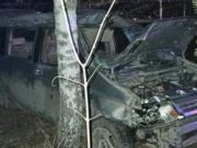 Возле памятника Шишкову разбилась Honda, водитель погиб