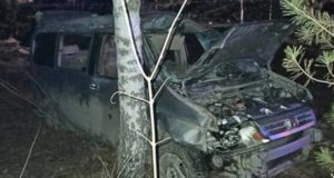Возле памятника Шишкову разбилась Honda, водитель погиб