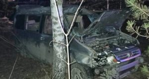 Возле памятника Шишкову разбилась Honda, водитель погиб Возле памятника Шишкову разбилась Honda, водитель погиб