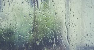 Теплая погода сохранится, но ожидаются дожди Теплая погода сохранится, но ожидаются дожди