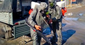 В Майминском районе 23 апреля пройдет дезинфекция территорий В Майминском районе 23 апреля пройдет дезинфекция территорий