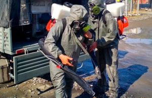 В Майминском районе 23 апреля пройдет дезинфекция территорий