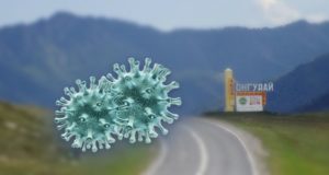 Специалисты рассказали, как коронавирус попал в Онгудай Специалисты рассказали, как коронавирус попал в Онгудай