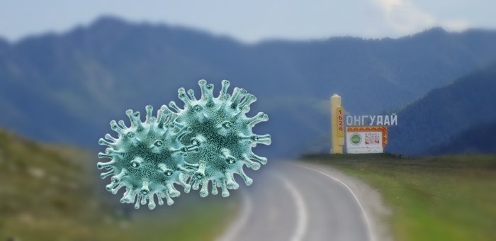 Специалисты рассказали, как коронавирус попал в Онгудай