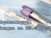 Ситуация с коронавирусом в Республике Алтай. Сводка за 20 апреля Ситуация с коронавирусом в Республике Алтай. Сводка за 20 апреля