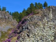 Жара продолжается: ожидается до +30°С Жара продолжается: ожидается до +30°С