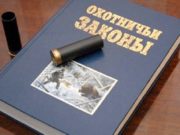 Сроки весенней охоты сокращены Сроки весенней охоты сокращены