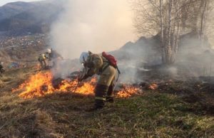 Виновника пожара в районе Бочкаревки привлекли к ответственности