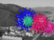 Еще один случай Covid-19 выявлен в Горно-Алтайске Еще один случай Covid-19 выявлен в Горно-Алтайске