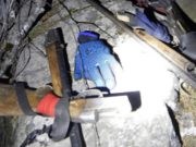 В Алтайском заповеднике задержали вооруженных браконьеров В Алтайском заповеднике задержали вооруженных браконьеров