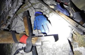 В Алтайском заповеднике задержали вооруженных браконьеров В Алтайском заповеднике задержали вооруженных браконьеров