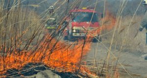 Особый противопожарный режим вводится в Горно-Алтайске
