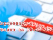 Ситуация с коронавирусом в Республике Алтай. Сводка за 19 мая