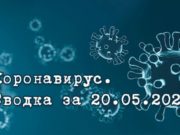 Ситуация с коронавирусом в Республике Алтай. Сводка за 20 мая Ситуация с коронавирусом в Республике Алтай. Сводка за 20 мая