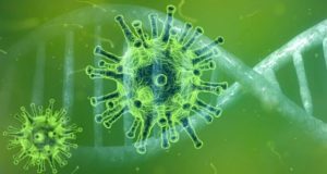 Семь новых случаев заражения коронавирусом выявлено в Республике Алтай