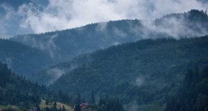 В ближайшие дни на Алтае ожидаются дожди и грозы В ближайшие дни на Алтае ожидаются дожди и грозы