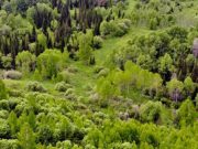 26 нарушений законодательства обнаружили инспекторы в ходе рейдов в лесах 26 нарушений законодательства обнаружили инспекторы в ходе рейдов в лесах