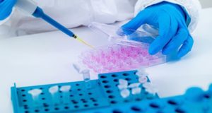 В Республике Алтай выздоровели уже трое пациентов с коронавирусом В Республике Алтай выздоровели уже трое пациентов с коронавирусом