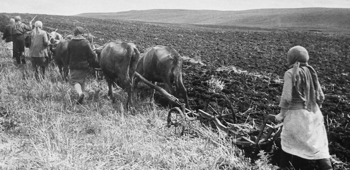 Сельское хозяйство Ойротии в годы Великой Отечественной войны