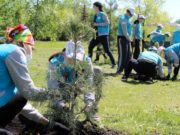 В больничном городке высадили кедры в память о погибших на фронте медиках В больничном городке высадили кедры в память о погибших на фронте медиках