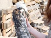 «Зашибу!»: сельчанка пошла под суд за то, что угрожала собутыльнице поленом «Зашибу!»: сельчанка пошла под суд за угрозы собутыльнице поленом