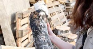 «Зашибу!»: сельчанка пошла под суд за то, что угрожала собутыльнице поленом «Зашибу!»: сельчанка пошла под суд за угрозы собутыльнице поленом