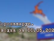Ситуация с коронавирусом в Республике Алтай. Сводка за 11 мая Ситуация с коронавирусом в Республике Алтай. Сводка за 11 мая