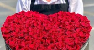 101 роза – роскошь от самой природы
