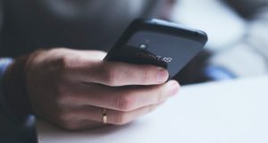 На Алтае заработала «горячая линия» по «конституционному голосованию»
